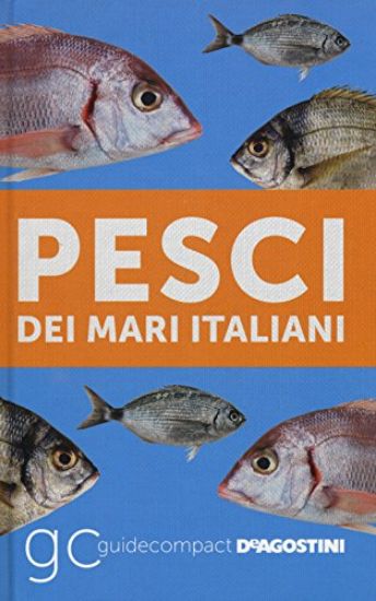 Immagine di PESCI DEI MARI ITALIANI