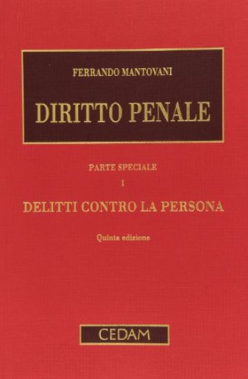 Immagine di DIRITTO PENALE. PARTE SPECIALE II: DELITTI CONTRO LA PERSONA