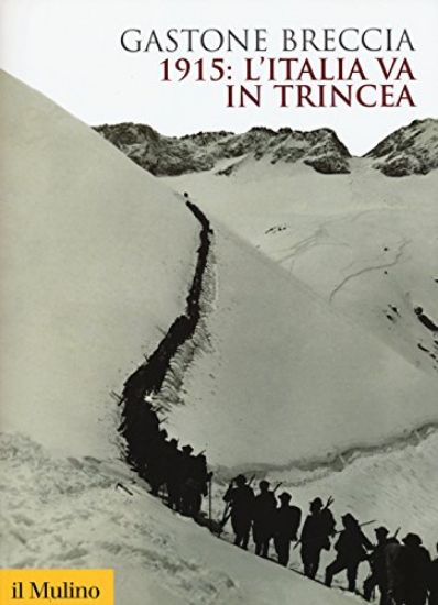 Immagine di 1915: L`ITALIA IN TRINCEA