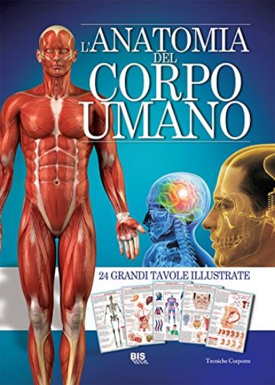 Immagine di ANATOMIA DEL CORPO UMANO. ATLANTE CON 24 TAVOLE ILLUSTRATE