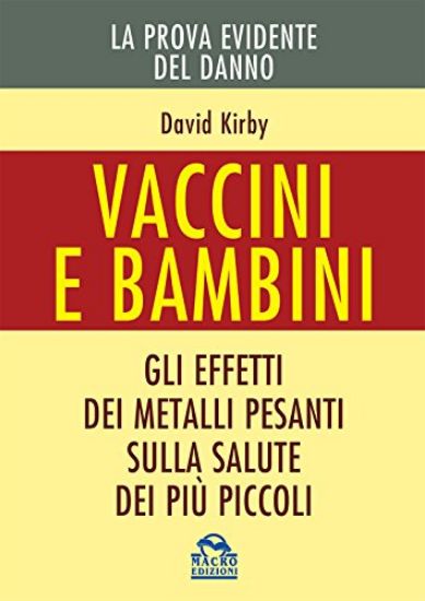 Immagine di VACCINI E BAMBINI - GLI EFFETTI DEI METALLI PESANTI SULLA SALUTE DEI PIU` PICCOLI