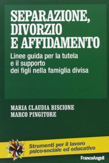 Immagine di SEPARAZIONE, DIVORZIO E AFFIDAMENTO. LINEE GUIDA PER LA TUTELA E IL SUPPORTO DEI FIGLI NELLA FAM...