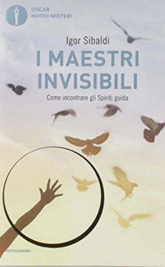 Immagine di MAESTRI INVISIBILI (I)