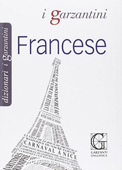 Immagine di DIZIONARIO FRANCESE