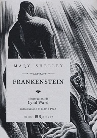 Immagine di FRANKENSTEIN DELUXE