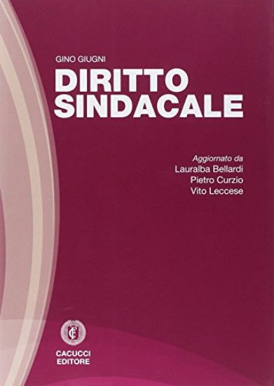 Immagine di DIRITTO SINDACALE