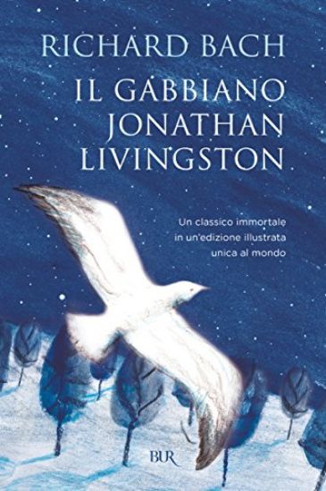 Immagine di GABBIANO JONATHAN LIVINGSTON (IL)