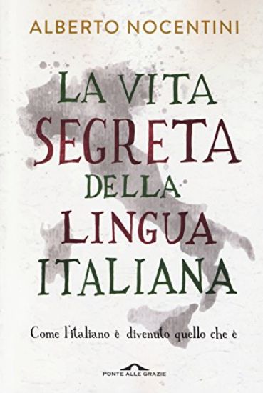 Immagine di VITA SEGRETA DELLA LINGUA ITALIANA (LA)