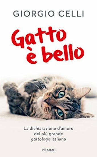 Immagine di GATTO E` BELLO