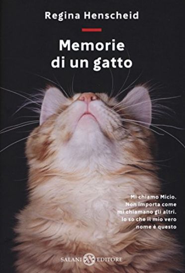 Immagine di MEMORIE DI UN GATTO