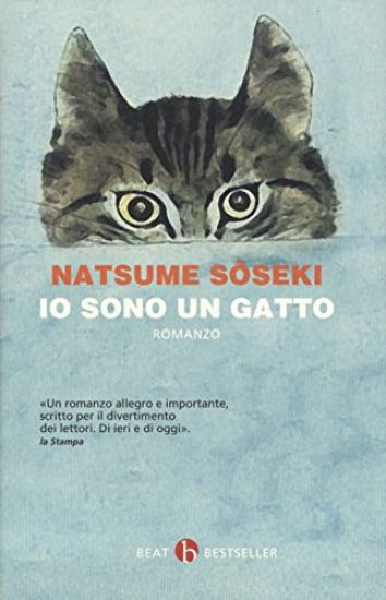 Immagine di IO SONO UN GATTO