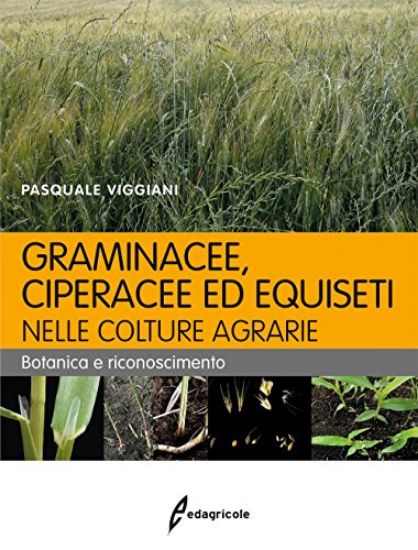 Immagine di GRAMINACEE CIPERACEE ED EQUISETI NELLE COLTURE AGRARIE - BOTANICA E RICONOSCIMENTO