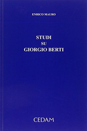 Immagine di STUDI SU GIORGIO BERTI