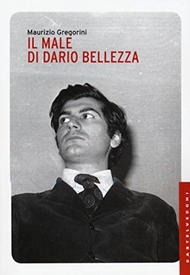 Immagine di MALE DI DARIO BELLEZZA. VITA E MORTE DI UN POETA (IL)