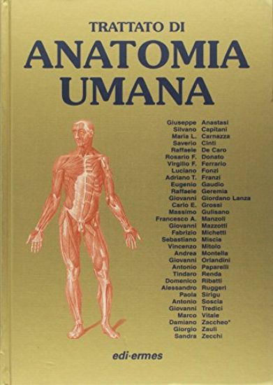 Immagine di ANATOMIA UMANA. TRATTATO VOL. 1-3