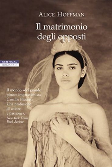 Immagine di MATRIMONIO DEGLI OPPOSTI (IL)