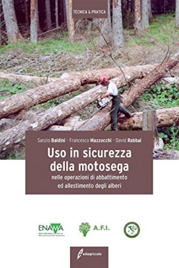 Immagine di USO IN SICUREZZA DELLA MOTOSEGA. NELLE OPERAZIONI DI ABBATTIMENTO ED ALLESTIMENTO DEGLI ALBERI