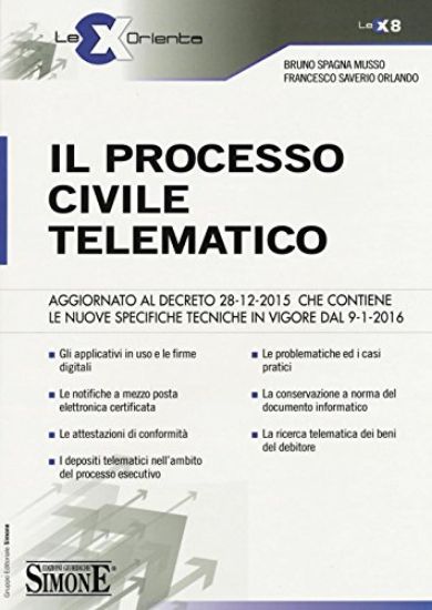 Immagine di PROCESSO CIVILE TELEMATICO (IL)