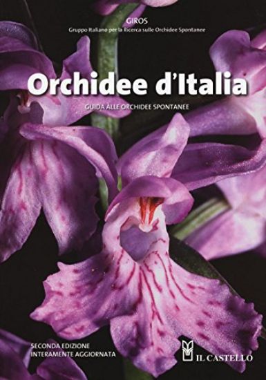 Immagine di ORCHIDEE D`ITALIA