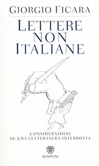 Immagine di LETTERE NON ITALIANE. CONSIDERAZIONI SU UNA LETTERATURA INTERROTTA