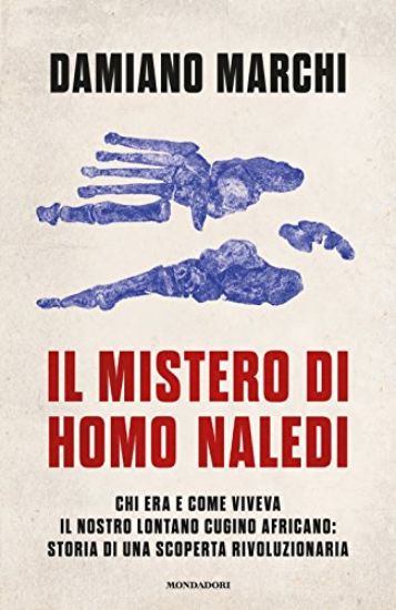 Immagine di MISTERO DI HOMO NALEDI. CHI ERA E COME VIVEVA IL NOSTRO LONTANO CUGINO AFRICANO: STORIA DI UNA S...