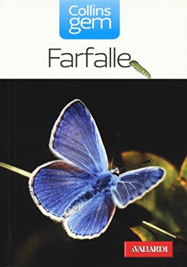 Immagine di FARFALLE