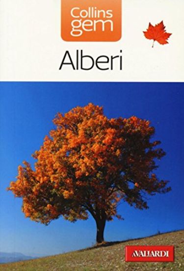 Immagine di ALBERI