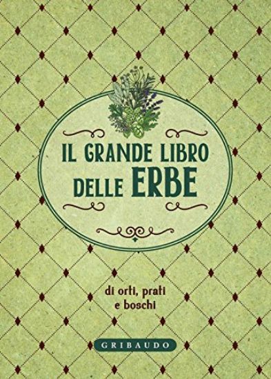 Immagine di GRANDE LIBRO DELLE ERBE DI ORTI, PRATI E BOSCHI (IL)