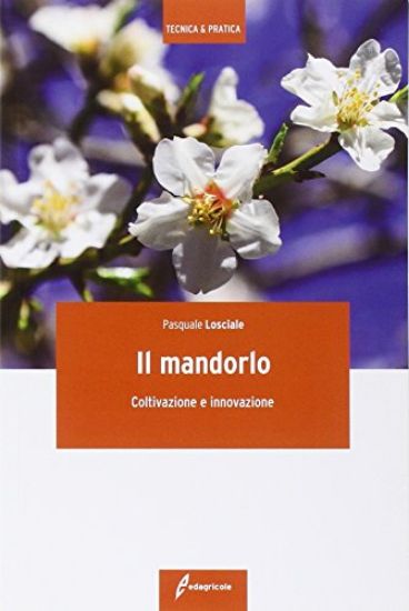 Immagine di MANDORLO (IL) COLTIVAZIONE E INNOVAZIONE