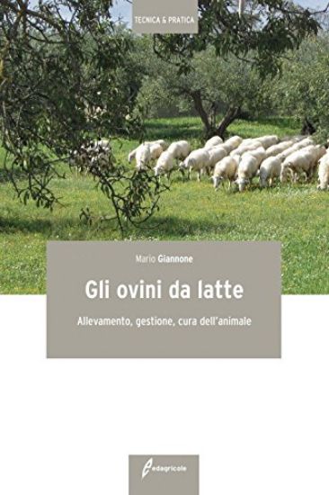 Immagine di OVINI DA LATTE (GLI) ALLEVAMENTO, GESTIONE, CURA DELL`ANIMALE