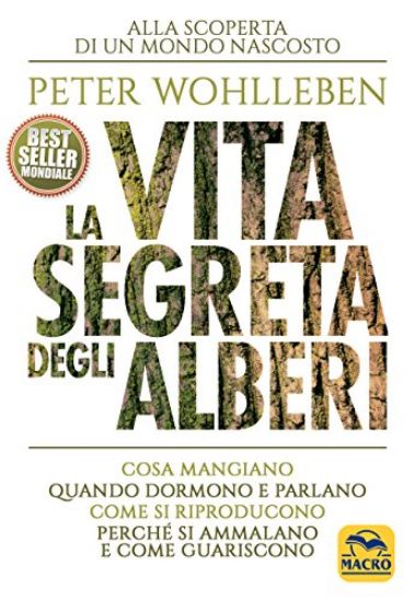 Immagine di VITA SEGRETA DEGLI ALBERI (LA)