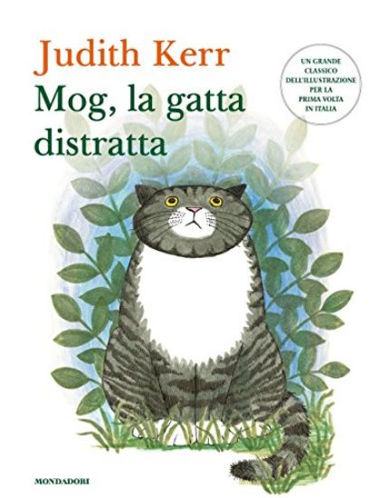 Immagine di MOG, LA GATTA DISTRATTA