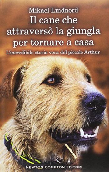 Immagine di CANE CHE ATTRAVERSO` LA GIUNGLA PER TORNARE A CASA. L`INCREDIBILE STORIA VERA DEL PICCOLO ARTHUR...