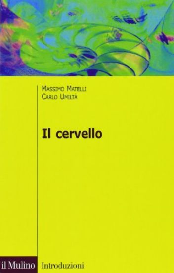 Immagine di CERVELLO (IL)