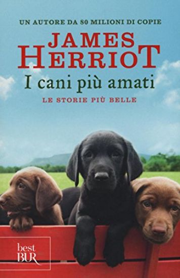 Immagine di CANI PIU` AMATI. LE STORIE PIU` BELLE (I)