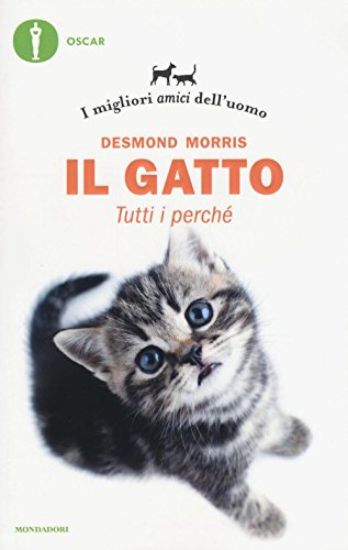 Immagine di GATTO. TUTTI I PERCHE` (IL)