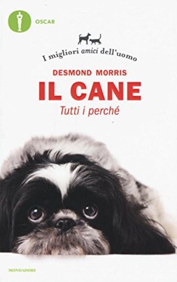 Immagine di CANE. TUTTI I PERCHE` (IL)