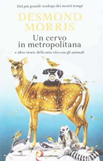 Immagine di CERVO IN METROPOLITANA (UN)