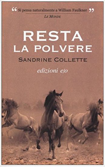 Immagine di RESTA LA POLVERE