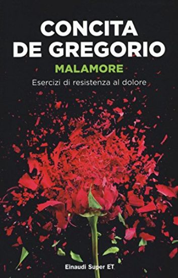 Immagine di MALAMORE. ESERCIZI DI RESISTENZA AL DOLORE