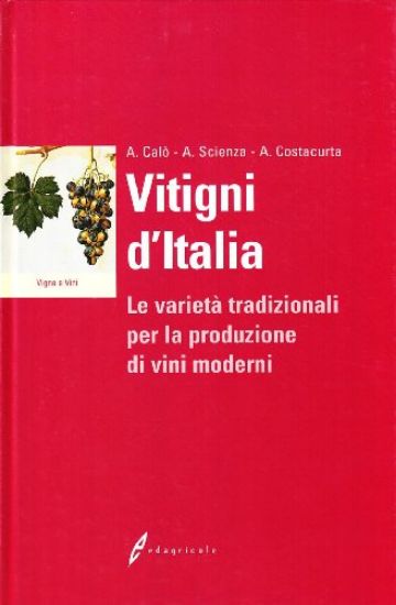 Immagine di VITIGNI D`ITALIA. LE VARIETA` TRADIZIONALI PER LA PRODUZIONE DEI VINI MODERNI