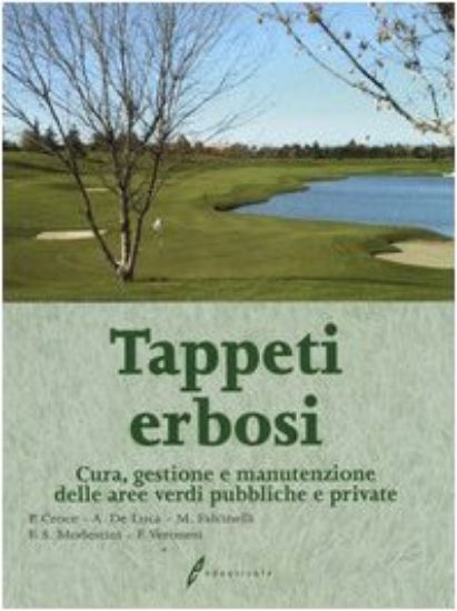 Immagine di TAPPETI ERBOSI. CURA, GESTIONE E MANUTENZIONE DELLE AREE VERDI PUBBLICHE E PRIVATE