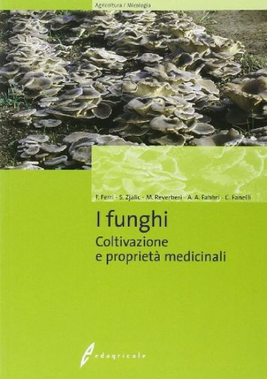 Immagine di FUNGHI. COLTIVAZIONE E PROPRIETA` MEDICINALI. EDIZ. ILLUSTRATA (I)