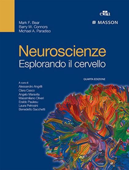 Immagine di NEUROSCIENZE. ESPLORANDO IL CERVELLO