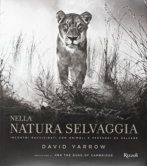 Immagine di NELLA NATURA SELVAGGIA. INCONTRI RAVVICINATI CON ANIMALI E PAESAGGI DA SALVARE. EDIZ. ILLUSTRATA