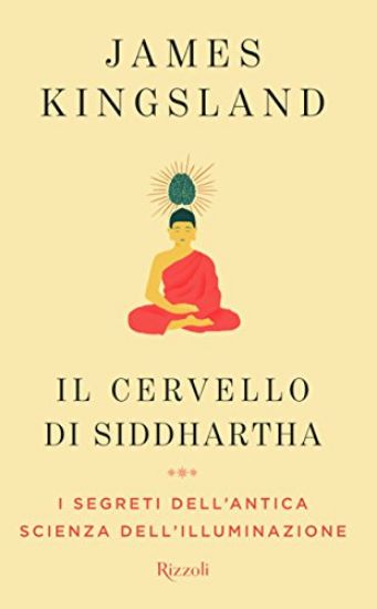 Immagine di CERVELLO DI SIDDHARTHA (IL)