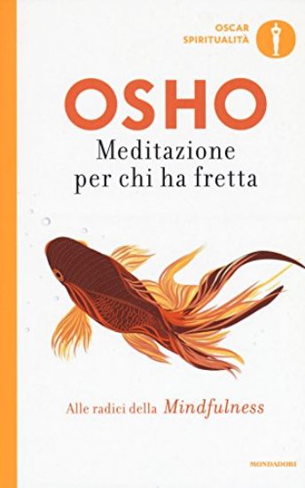 Immagine di MEDITAZIONE PER CHI HA FRETTA