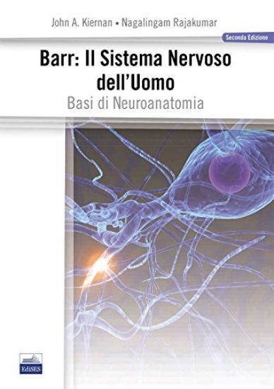 Immagine di BARR. IL SISTEMA NERVOSO DELL`UOMO. BASI DI NEUROANATOMIA