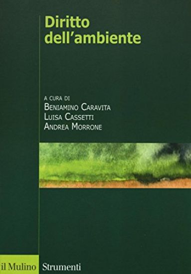 Immagine di DIRITTO DELL`AMBIENTE