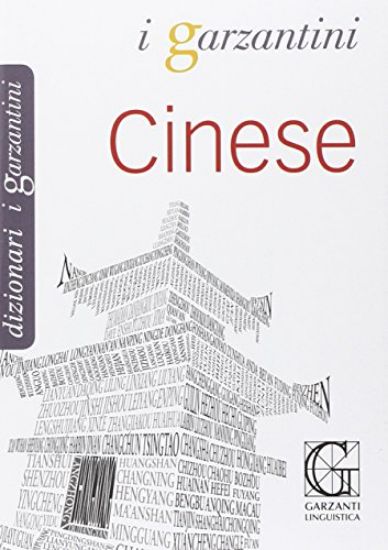 Immagine di DIZIONARIO CINESE